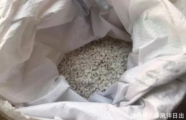 扦插|养花必备的天然植料,扦插配土全需要,养花的人绝对离不开它