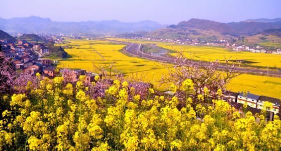 高铁:从重庆市到湖南省正在修建一条高铁,沿线