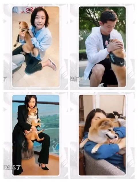  『样子』《向往的生活》先导片，大家还是原来的样子，唯有天霸走了