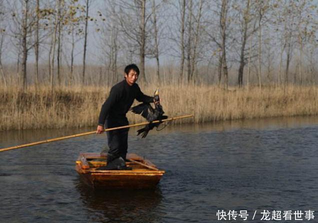  道理|为什么黄河泥沙那么多，鱼还又大又肥？网友一句话阐明道理