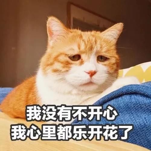 「白鞋」小白鞋失宠了!这5双“仙女鞋”今春必穿,美美美翻了!