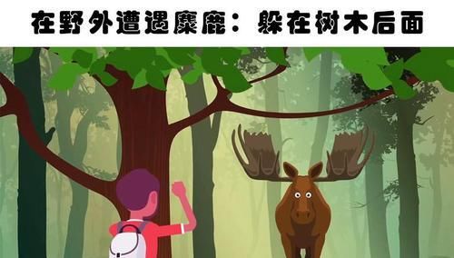 生存:可能会在某一天拯救你生命的10个生存技巧