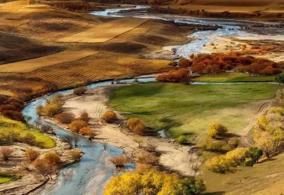 在呼伦贝尔大草原邂逅最美秋天！