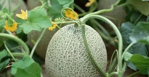 中国绝美公路＋仙境北疆13日落地自驾游