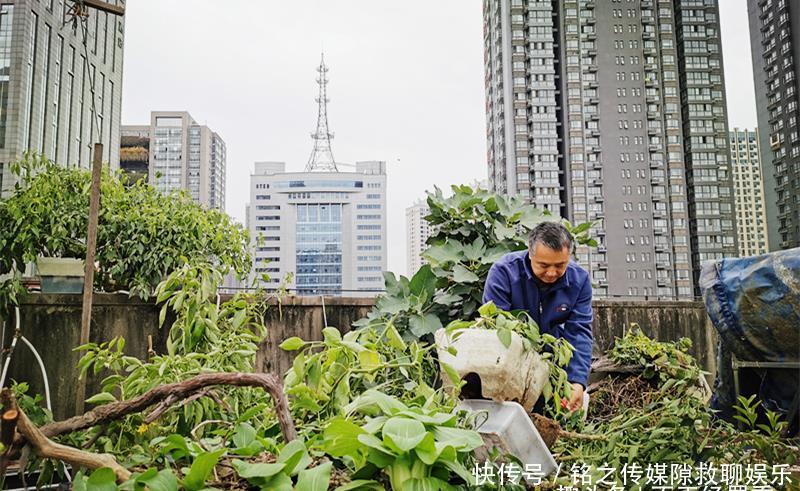  何建华：57岁大叔自家楼顶建“空中菜园”，瓜果蔬菜俱全，年产