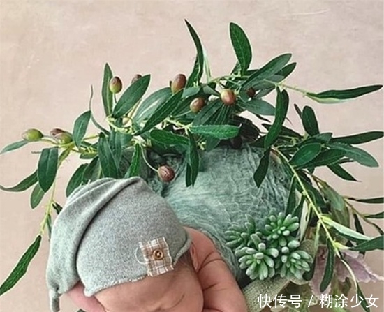 爷孙恋女星嫁给71岁富商