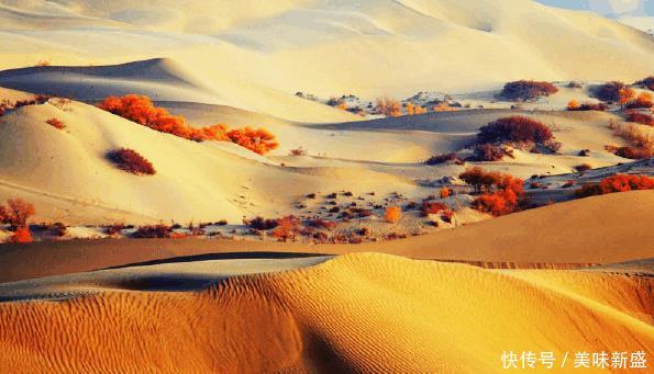 塔克拉玛干沙漠腹地现湖群, 比巴西千湖沙漠还美, 却鲜为人知!