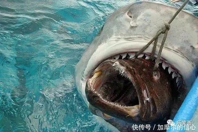 22张不可思议的世界照片,竟然不是PS