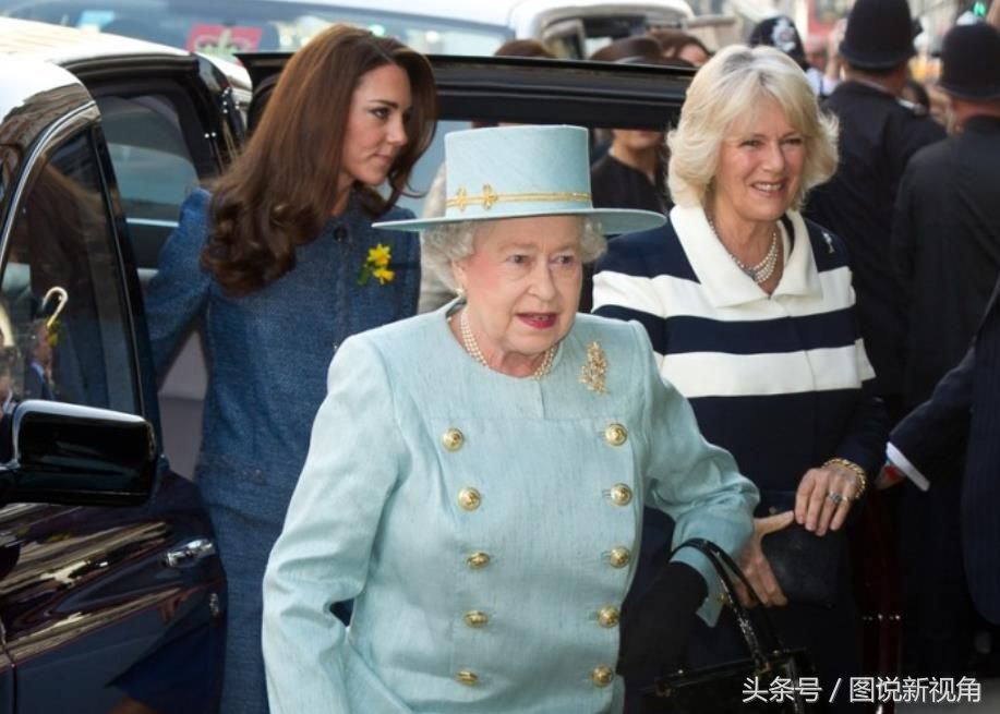 卡米拉半身照:紧身连衣裙包裹上半身，皱纹明显比女王还显老