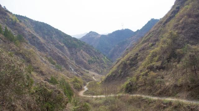  劳动@秦岭山阳安沟｜对于年轻人来说，春耕时劳动的场景，已经成了记忆