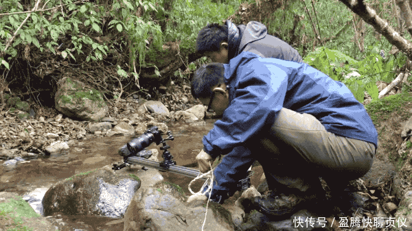 这部纪录片央视发力了,每一帧都可以当壁纸,BBC也无法超越