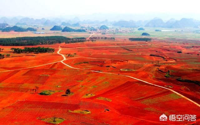 本轮机构改革，乡镇国土资源管理所怎么改？