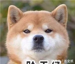 方头■潮流范 | 不方不时髦!“铲刀”似的新款方头鞋谁穿谁高级