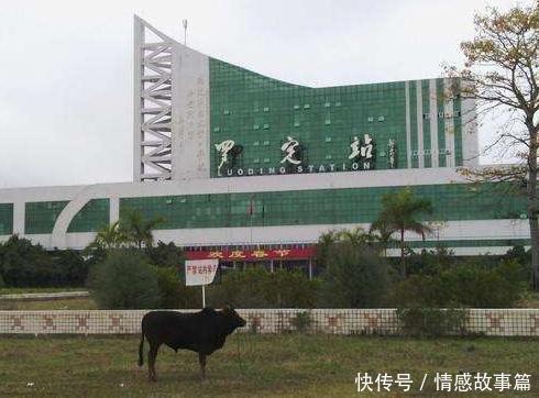 广东最“败家”的县城，自建火车站飞机场，如今机场却用来放牛