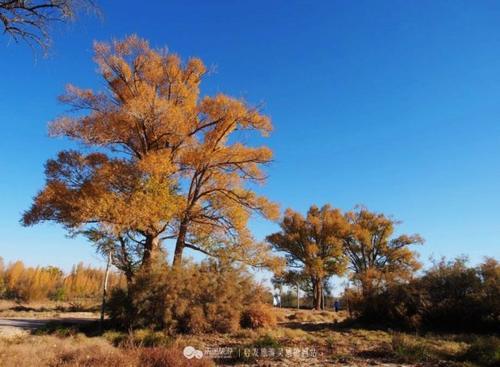 去武威,去戈壁和沙漠的边缘撒个欢