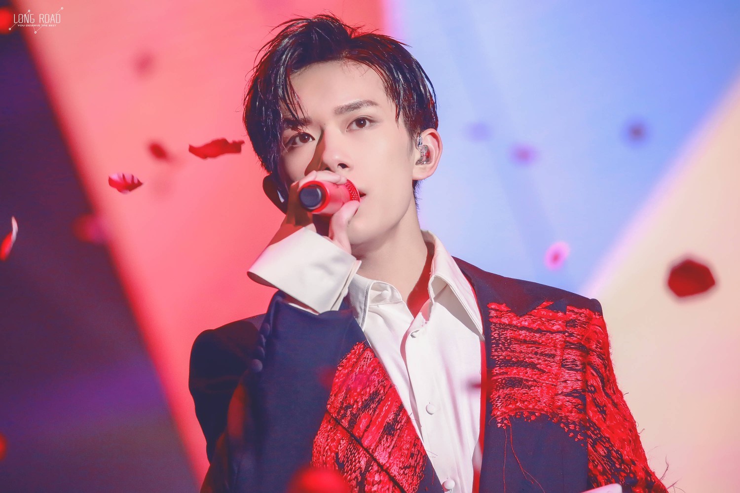 刘亦菲易烊千玺杨颖广告