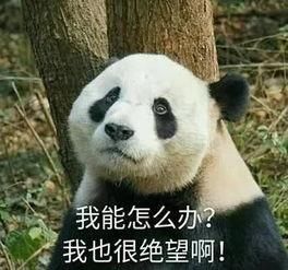 “怼”薛之谦的丁香医生居然是这样的，网友：不敢看她微博怕笑死