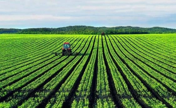  「从来」农村补贴增多，农民福利提升，但是一些农民兄弟却从来没有领过