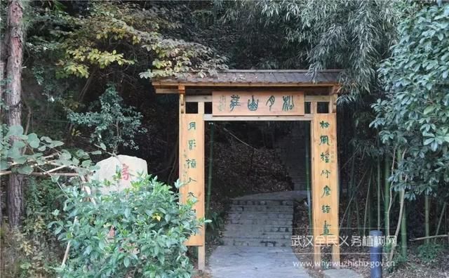 远离城市喧嚣！这个男人在黄陂建了座花海庄园，堪比“世外桃源”