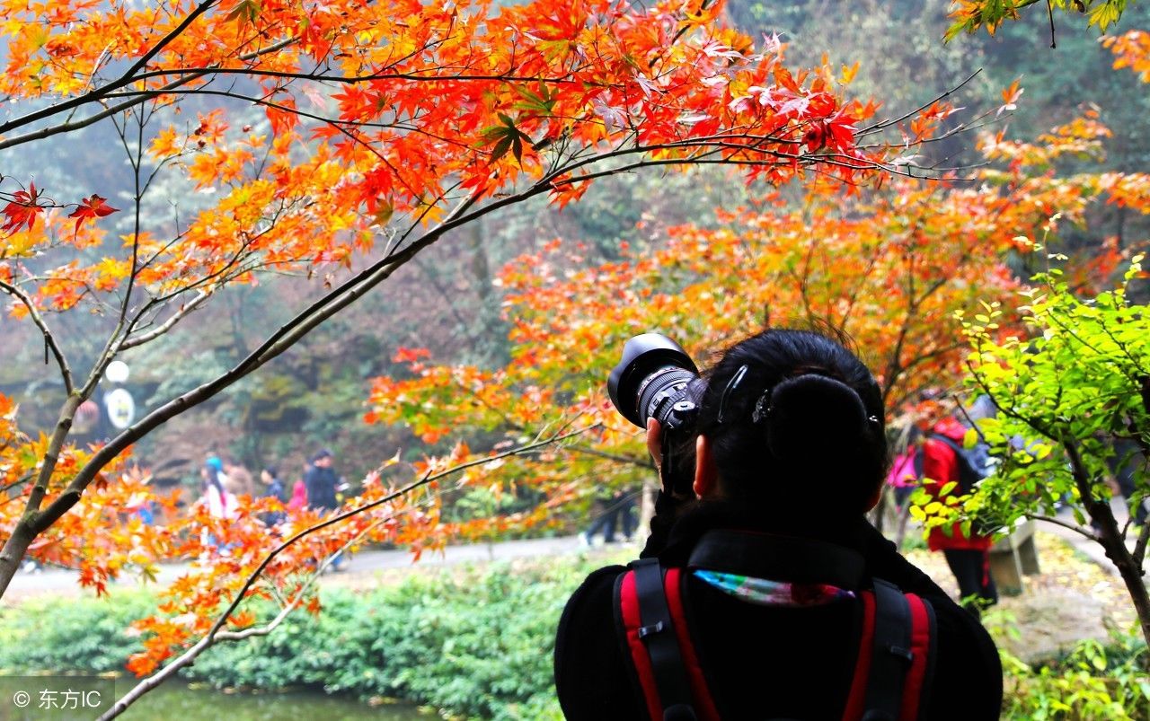 中国最低调的5A景区，亏本依旧免费，网友却嘲讽:为出名才学西湖