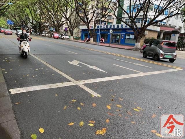两条线@红绿灯下两条线,网友问,应该怎么过?