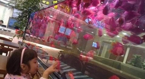  「制止」养鱼的时候，朋友有这些行为，请立即制止