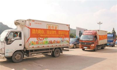  「农产品」清远靓菜直供广州