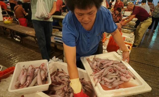 自驾走过广西广东海南,来到福建霞浦三沙,带你看看渔村海鲜价格