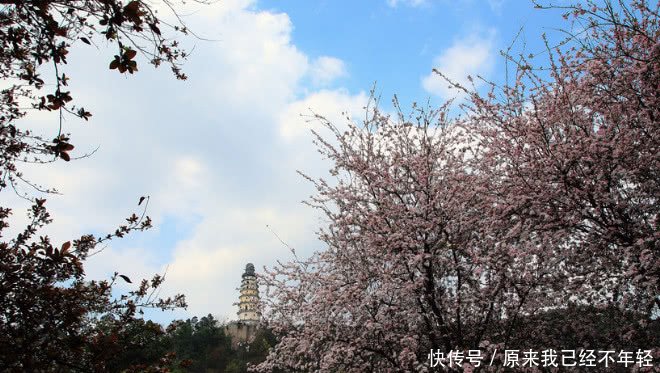 四川有望崛起的城市，有机场、码头，高铁开通也指日可待！