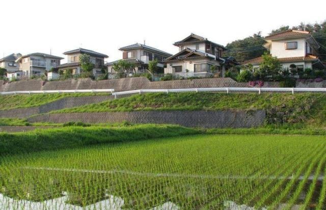 农村拆迁“病态”，为何越来越多的农民不愿拆迁，主要是这3点！