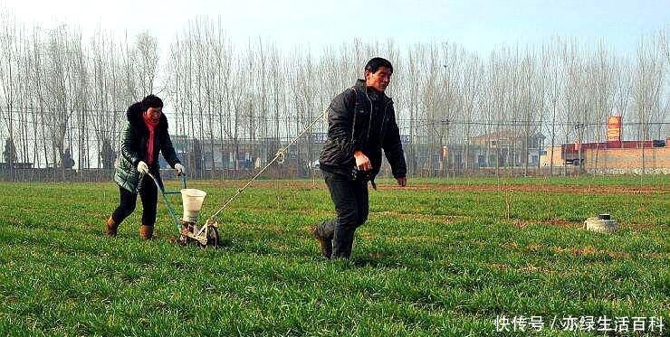 农村出现“抛荒”问题，为啥农民不愿意种地？这4个原因令人深思