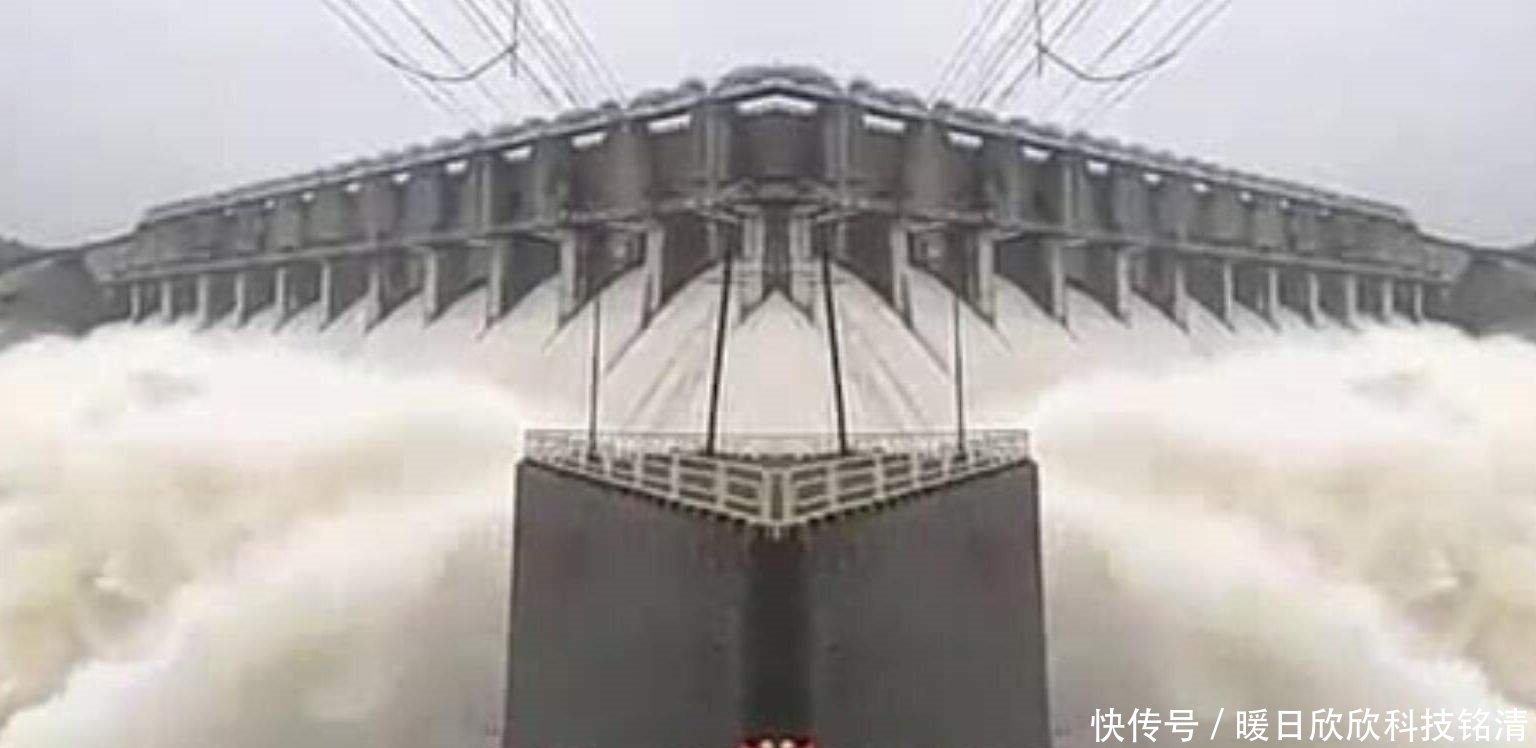 在建三峡大坝时，专家建议放养上万条大鱼，看完才知道良苦用心