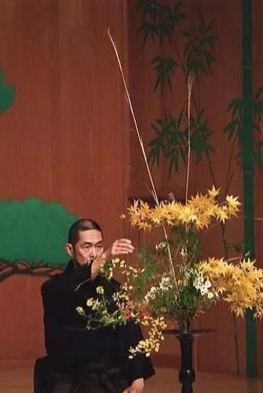  传统■花儿非遗大课堂进校园 ▏中国传统插花尽现雅趣之美