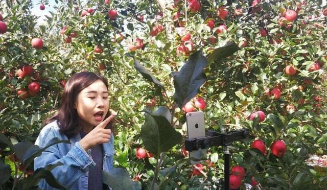 \＂l0\＂: \＂对于农村的未来，你怎么看？\＂农民直播卖农产品的困难