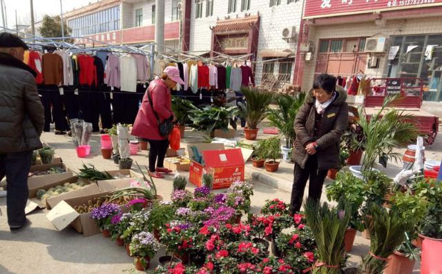 农村这3个项目，不需要太高的成本，现在干还不晚！