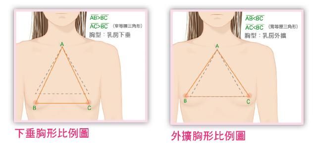 女性穿文胸的目的是什么?