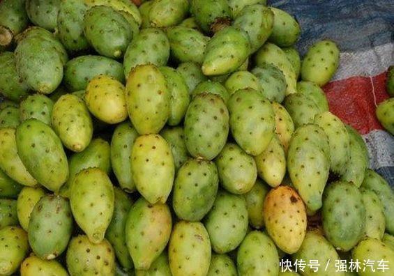 农村大爷种植“仙人掌”，结果后卖到40元一斤，城里的上等水果