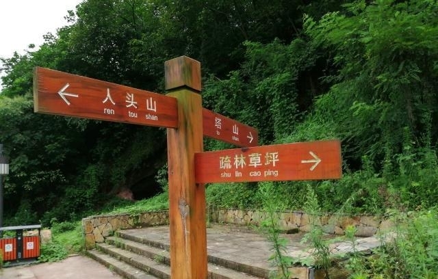 重庆主城这座公园开放1年便荒废，内有著名古塔曾是重庆航标