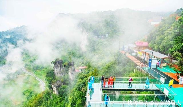 抖音上超恐怖的玻璃桥原来在这里,去过游客都表示后悔,你敢玩吗