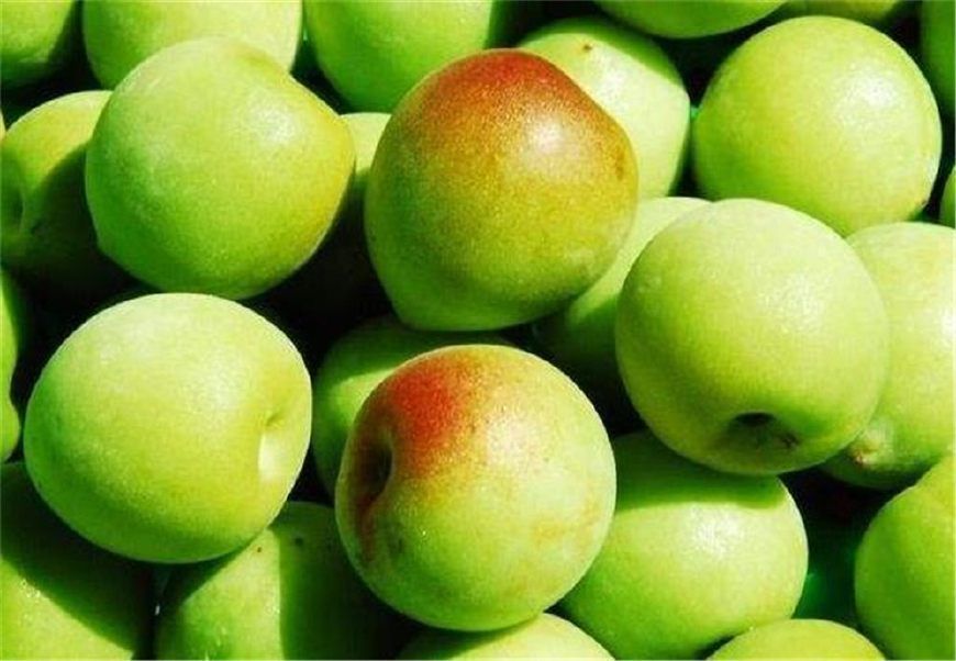 青梅精可以提高肝脏功能,帮助肝脏的解毒作用