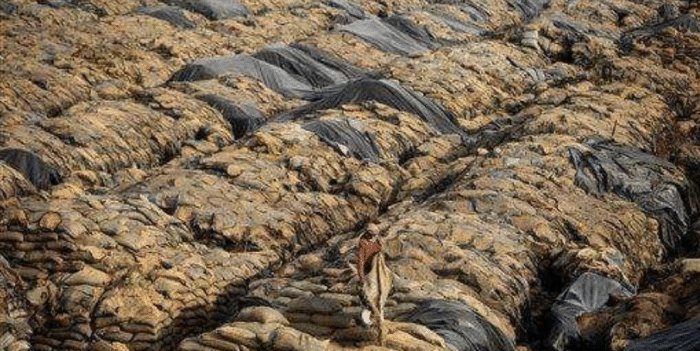 印度粮食产量仅中国一半，为何能养活同等人口，还大量出口