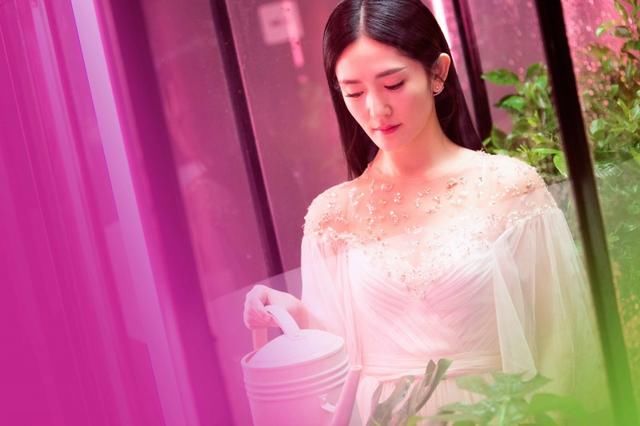 宋祖德发文声称叫谢娜向军嫂道歉,网友纷纷不解是为何