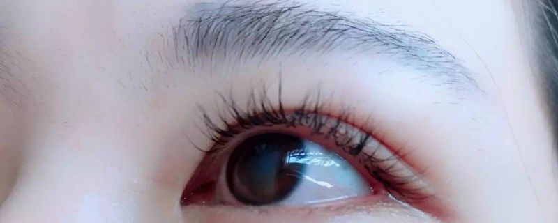 睫毛|睫毛往下趴是怎么回事