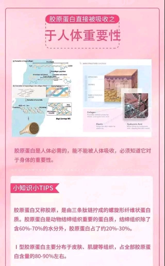  『你知道胶原』胶原蛋白真的那么重要吗？