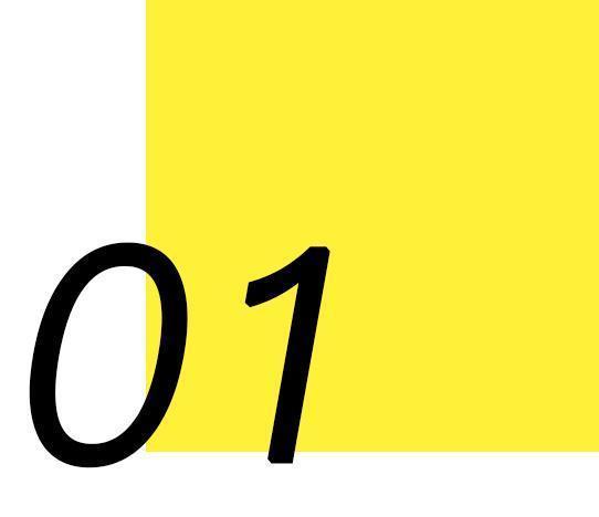 还在相信怀孕不能养宠物吗？ 连央视新闻都出来辟谣了!