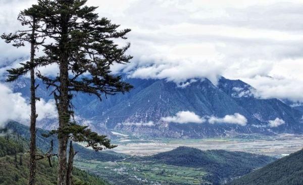 西藏用他的……彻底征服了全世界!