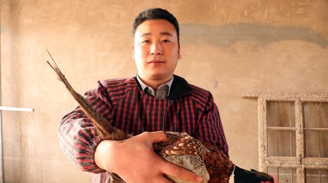  「野鸡」90年后，年轻人在城市创业困难，回到农村养鸡，只卖给