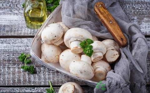 夏季钓鱼如何防晒伤