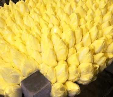 「金玉兰」在家栽培这种“黄金菜”,“1小筐”长出90斤,60天收获一次!