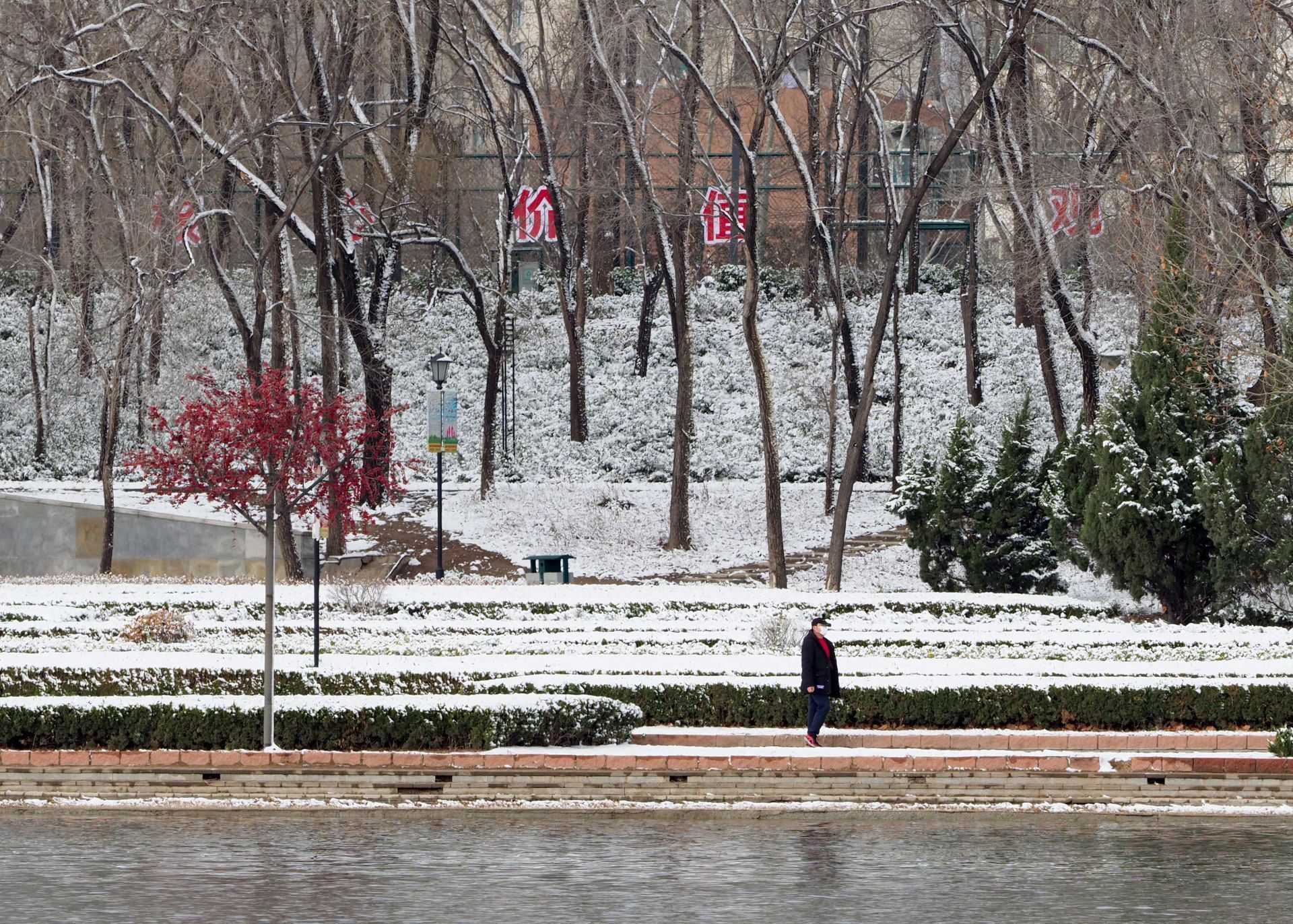  力量■战“疫”之城！力量之城！瑞雪里，大美德州